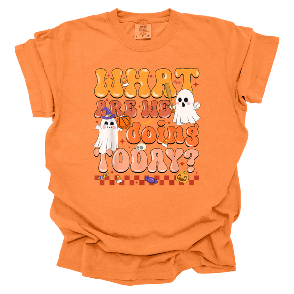What Are We Doing Today? PE Halloween Theme Comfort Color T-Shirt