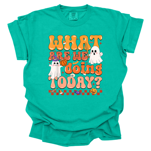 What Are We Doing Today? PE Halloween Theme Comfort Color T-Shirt