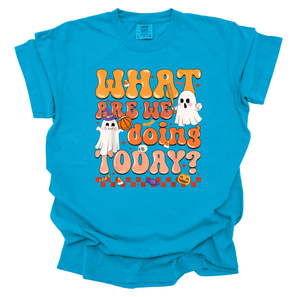 What Are We Doing Today? PE Halloween Theme Comfort Color T-Shirt
