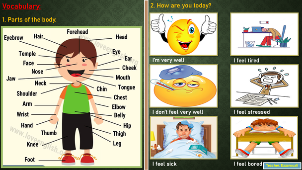 Complete A1–A2 ESL Curriculum (Units 1–16) — 19 Editable Lesson Decks
