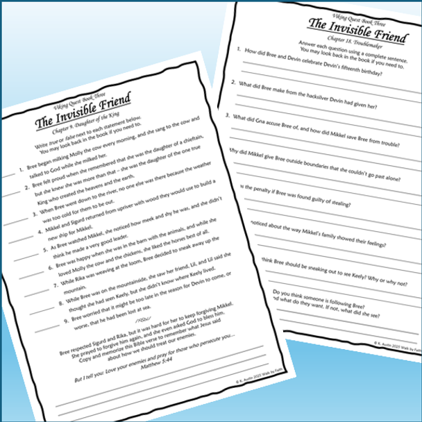 The Invisible Friend Viking Quest Book Three Novel Study