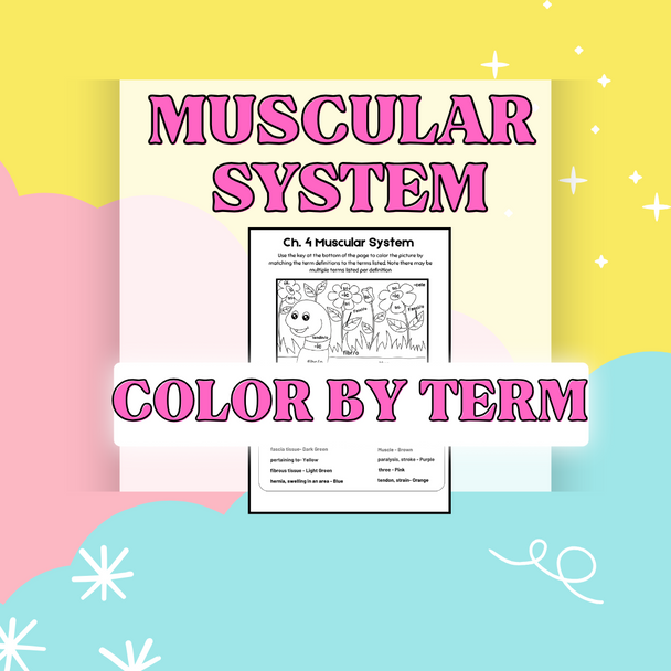 Color by Term - Muscular System