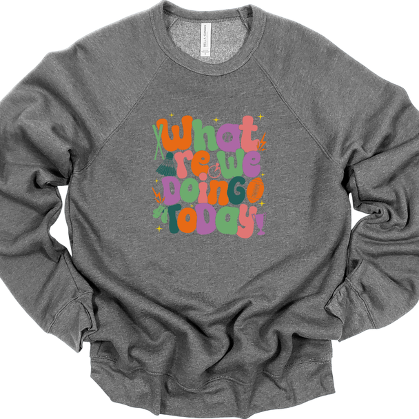 What are we doing today? PE Teacher - Sweatshirt & Hoodie