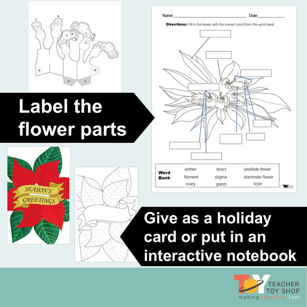 Poinsettia Holiday Science Hands-On Paper Flower Activity & Christmas Craft