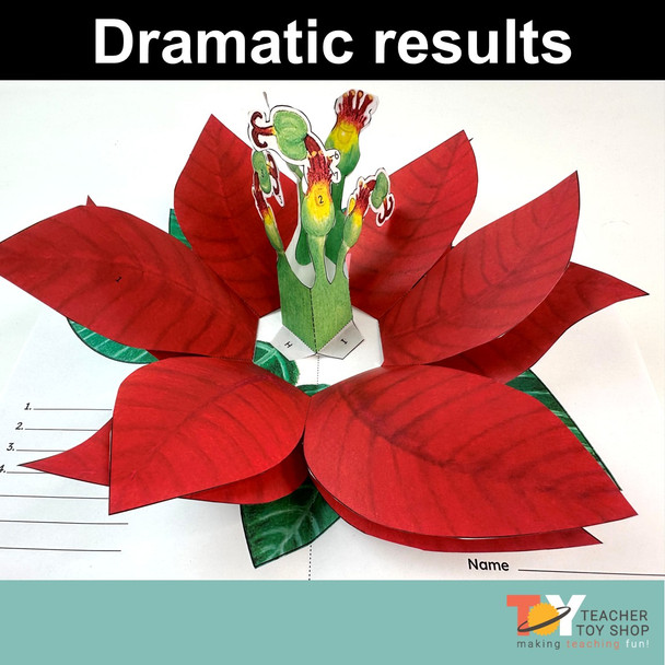 Poinsettia Holiday Science Hands-On Paper Flower Activity & Christmas Craft