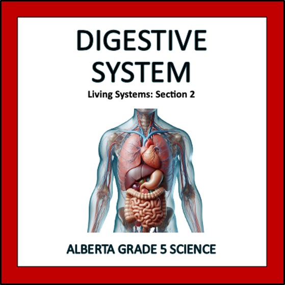 Digestive System - Alberta Grade 5 Science