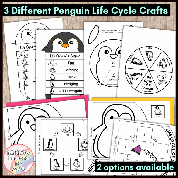 Life Cycle Of A Penguin Crafts | Penguin Activities | All About Penguins