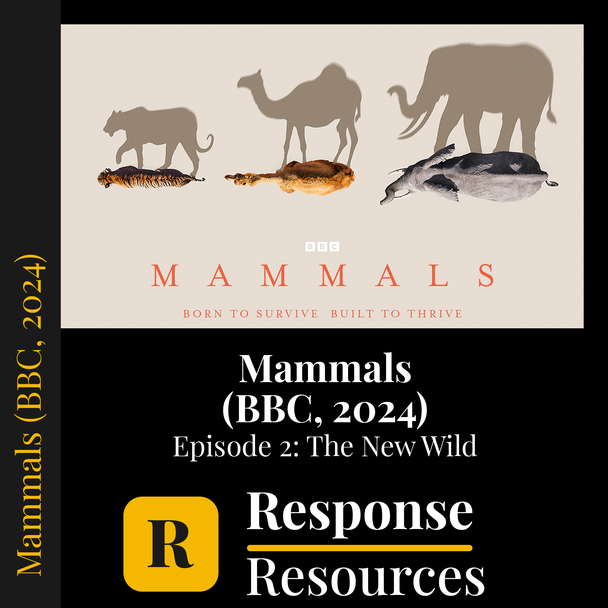 Mammals (BBC, 2024) - Episode 2: The New Wild - Worksheet & Key
