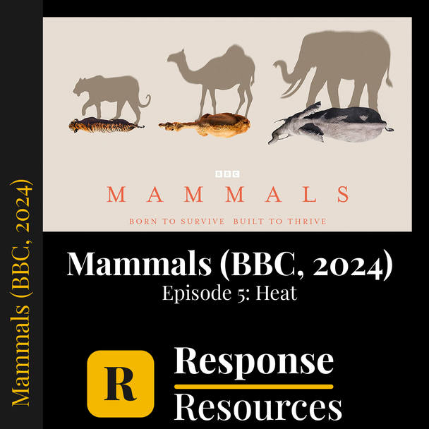 Mammals (BBC, 2024) - Episode 5: Heat - Worksheet & Key
