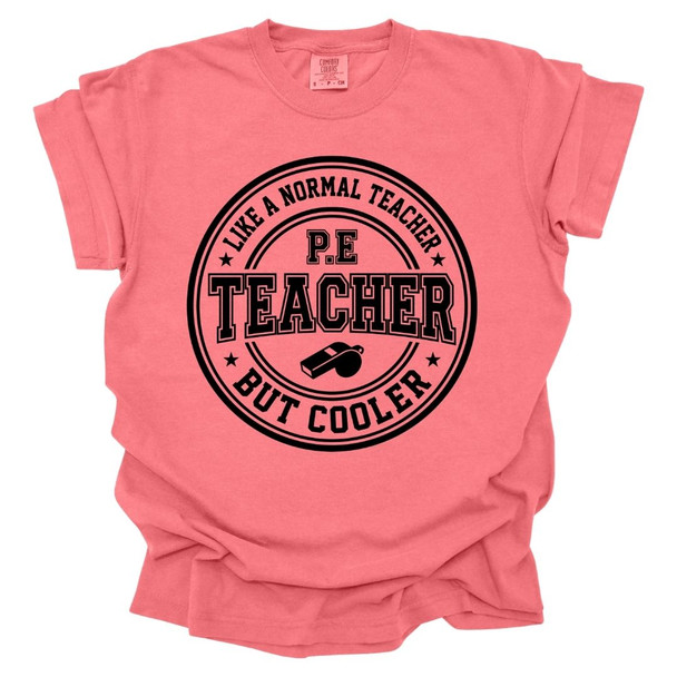PE Teacher, Like a Normal Teacher, But Cooler - PE Teacher T-shirt - Comfort Colors 