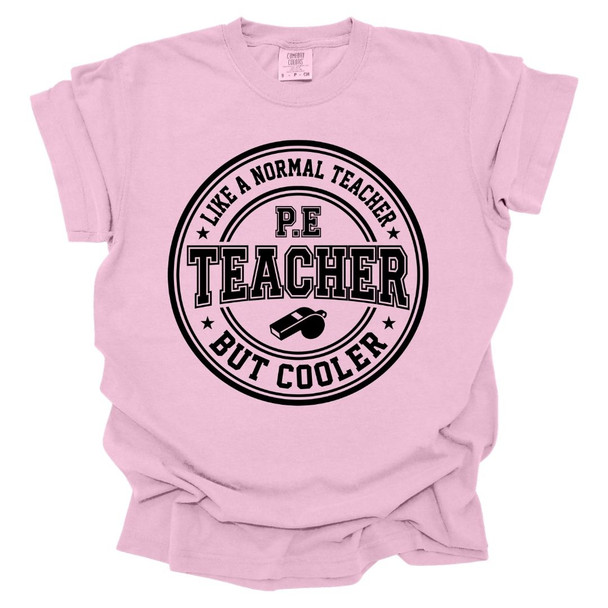 PE Teacher, Like a Normal Teacher, But Cooler - PE Teacher T-shirt - Comfort Colors 