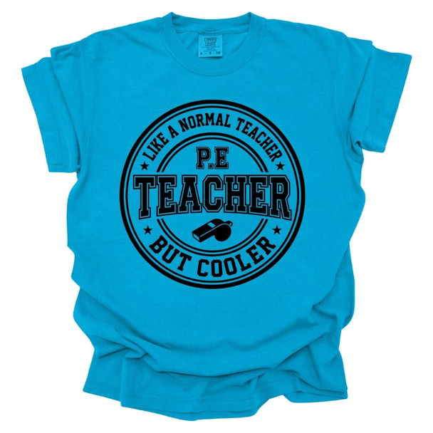 PE Teacher, Like a Normal Teacher, But Cooler - PE Teacher T-shirt - Comfort Colors 