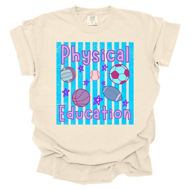 Trendy Preppy Stripes Physical Education - PE Teacher T-Shirt - Comfort Colors