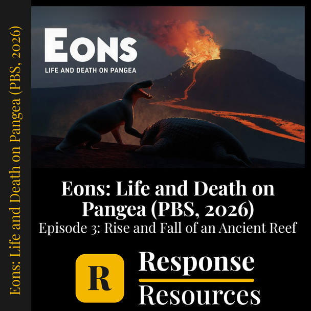 Eons Life and Death on Pangea Ep 3 Ancient Reef Video Worksheet + Google Forms