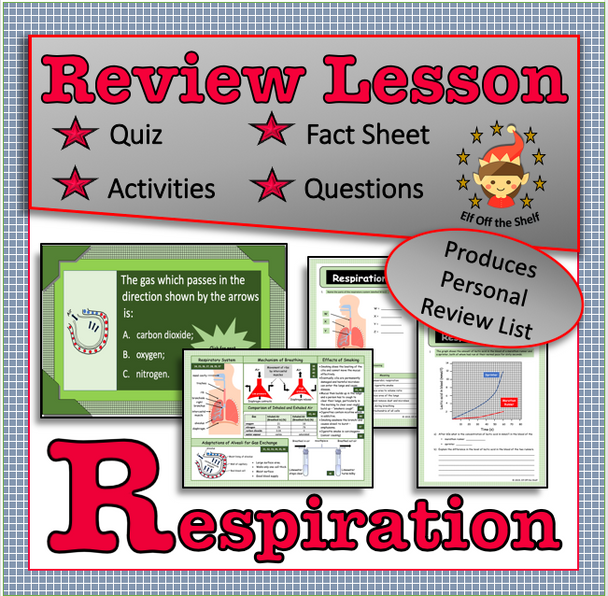 Respiration Review Activity