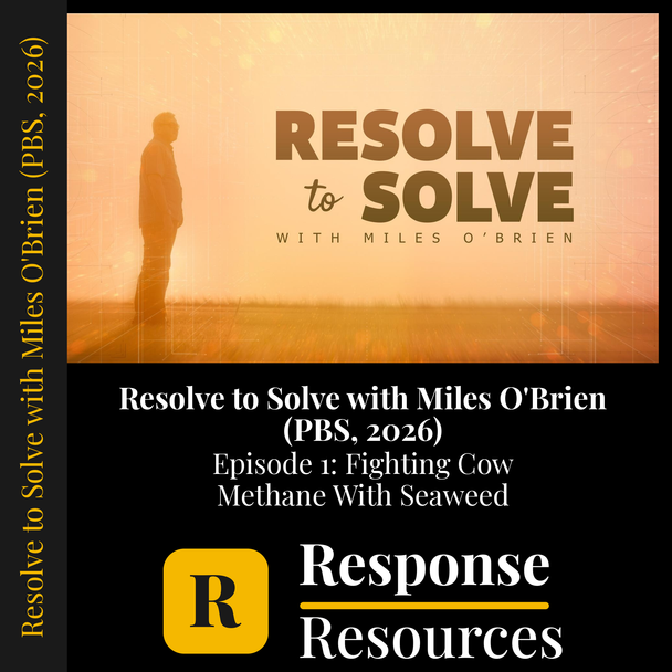 Resolve to Solve PBS Ep 1 Cow Methane Seaweed Video Worksheet + Google Forms