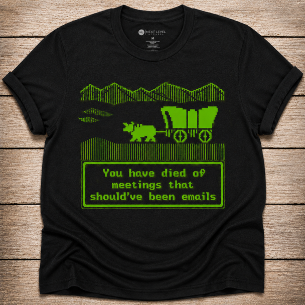 You Have Died of Meetings That Should've Been Emails Shirt