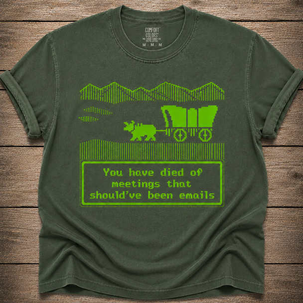 You Have Died of Meetings That Should've Been Emails Shirt
