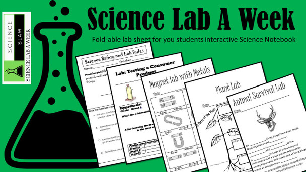 Paper Towel Science Lab