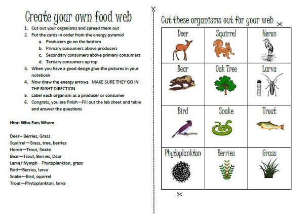 Create their own food chain in their science journal