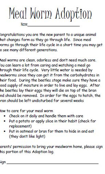Meal Worm Science Lab