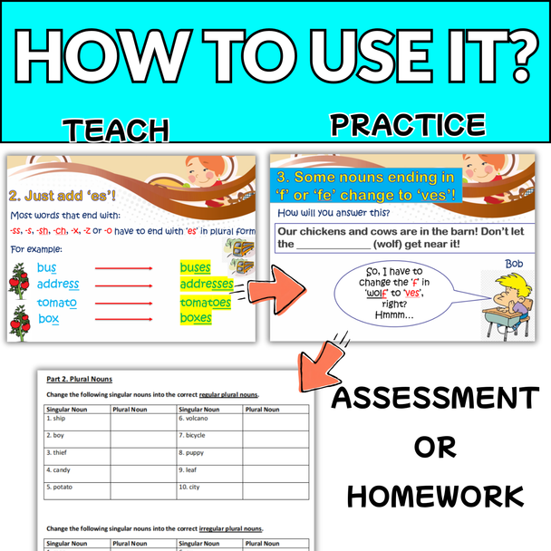 EFL / ESL Singular and Plural Nouns - Editable Lesson Slides & Worksheets