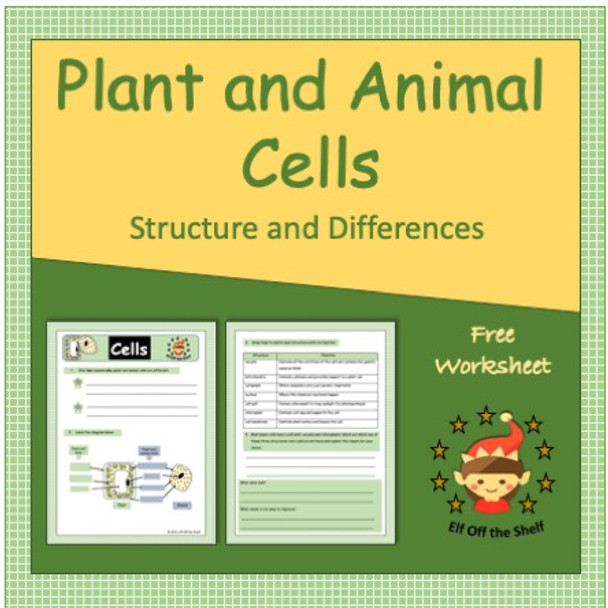 Plant and Animal Cells - Structure and Differences - Free Worksheet