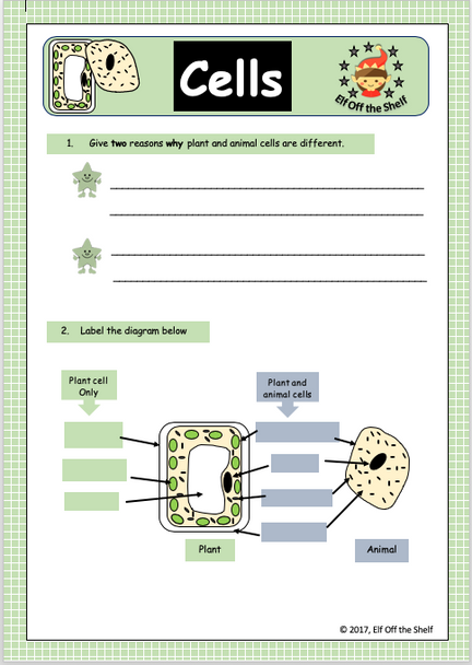 Plant and Animal Cells - Structure and Differences - Free Worksheet