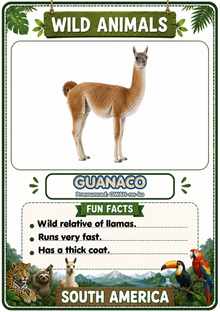 Wild Animals Flashcards 20 South American Printable Animal Cards with Fun Facts