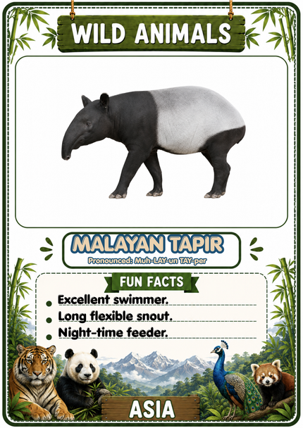 Wild Animals Flashcards | 20 Asian Printable Animal Cards with Fun Facts