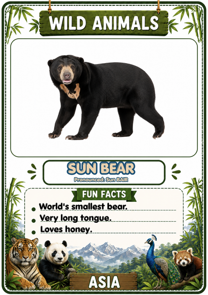Wild Animals Flashcards | 20 Asian Printable Animal Cards with Fun Facts