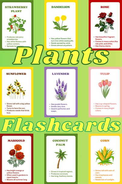 Plant Flashcards | Types of Plants & Flowers | Printable Science Flashcards