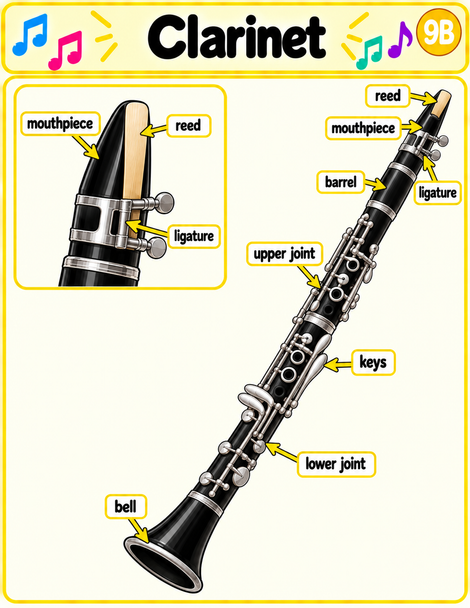 Beginning Band Instrument Care Posters & Parts Cards | Visual Routines | ELL