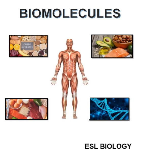 BIOMOLECULES ESL Biology