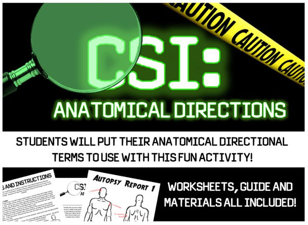 CSI: Anatomical Directions- Fun Activity to Practice Anatomical Direction Terms!