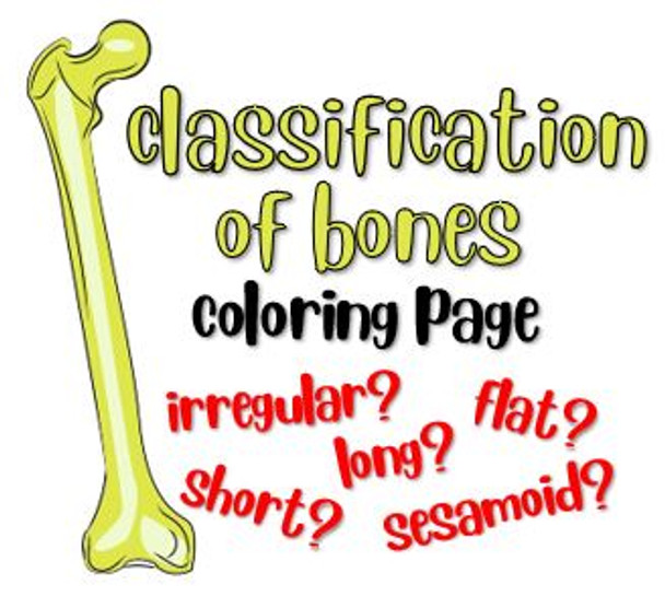 Classification of Bones Coloring Page