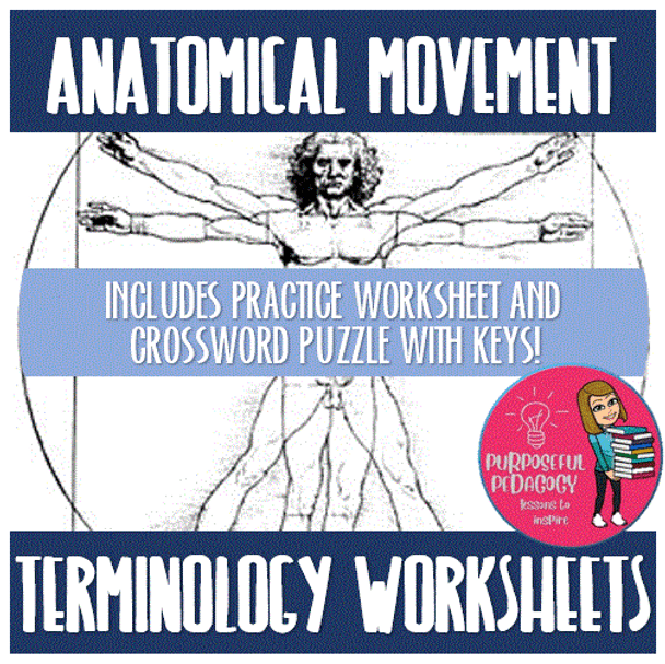 Anatomical Terms Worksheet and Crossword Puzzle!