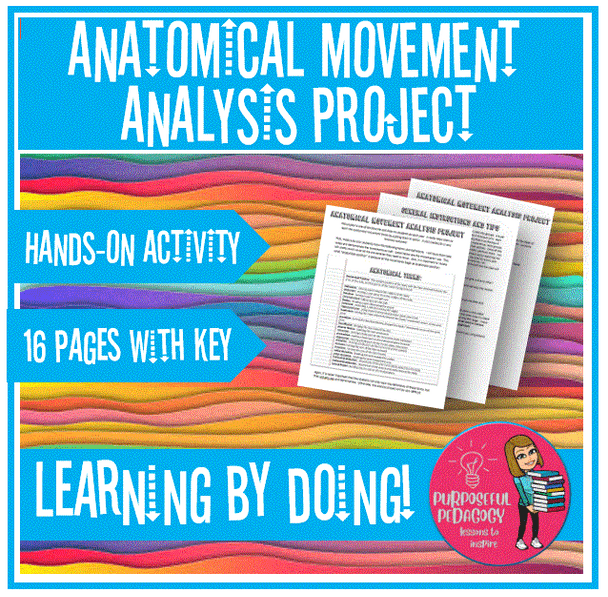 Anatomical Movement Analysis Project