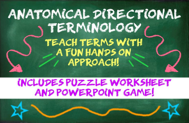 Anatomical Movement Terminology Puzzle and PPT Game! Distance Learning Option!