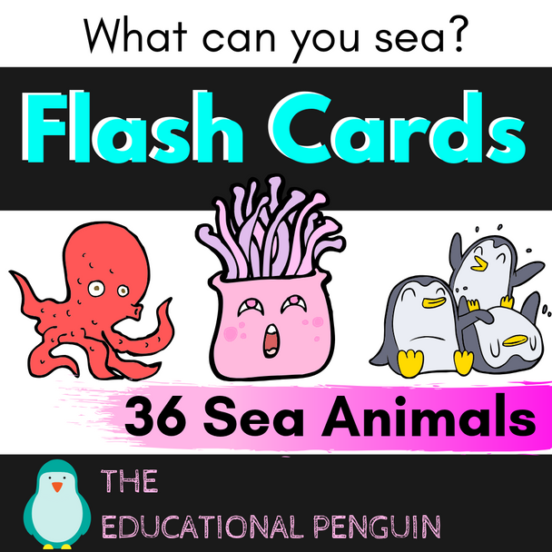 Flash Cards: Sea Animals