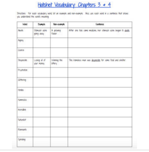 Hatchet Common Core Comprehension Questions with Vocabulary!