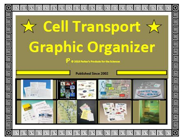 Cellular Transport Graphic Organizer 