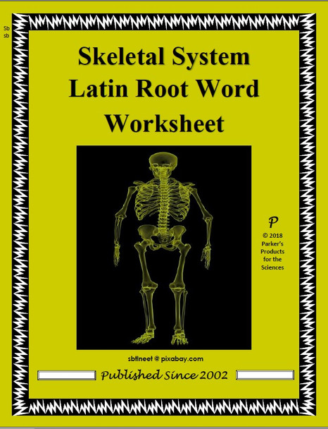 Skeletal System Latin Root Word Worksheet
