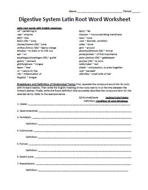 Digestive System Unit Latin Root Word Worksheet