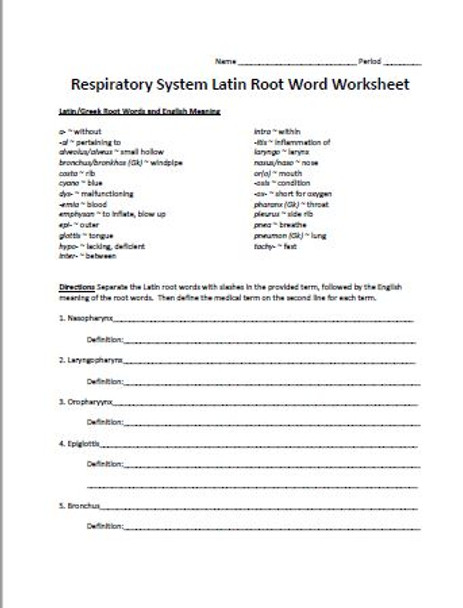 Respiratory System Latin Root Word Worksheet and Crossword Puzzle Set