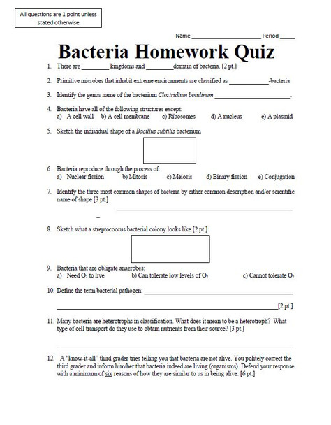 Bacteria Homework Quiz