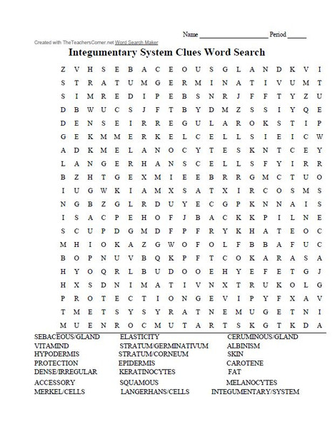 Integumentary System Clues and Quest and Word Search Activity