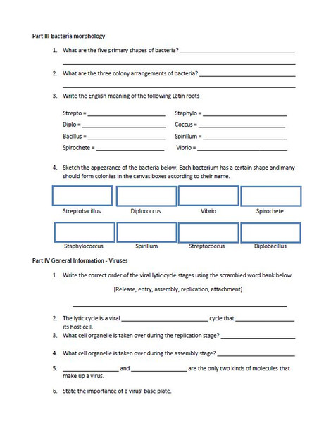 Microbiology Unit Review Packet