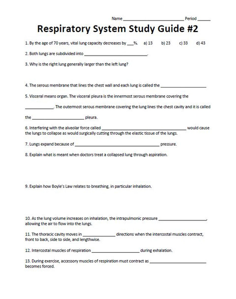 Respiratory System Worksheet Set