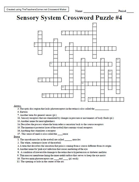 Sensory System Crossword Puzzle Bundle - Four Total!